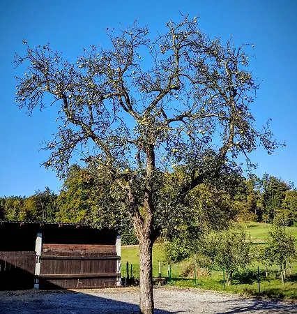 Tome Gostinjska kuća Ljubljana