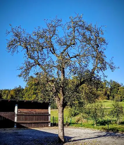 Tome بيت ضيافة ليوبليانا