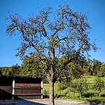 Tome Gæstehus Ljubljana